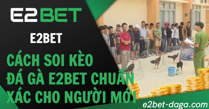 Cách Soi Kèo Đá Gà E2BET Chuẩn Xác Cho Người Mới