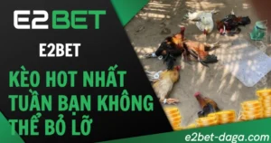 Đá Gà E2BET: Kèo Hot Nhất Tuần Bạn Không Thể Bỏ Lỡ