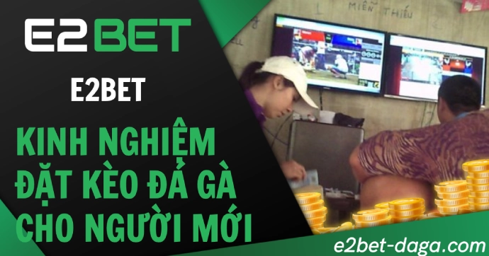 Kinh Nghiệm Đặt Kèo Đá Gà E2BET Cho Người Mới Bắt Đầu